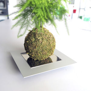 tutor para plantas de acero