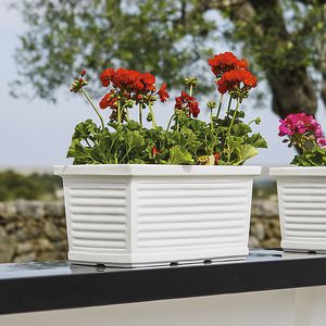 jardinera de polietileno / rectangular / clásica