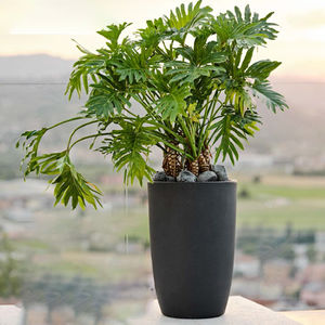 maceta de jardín de terracota