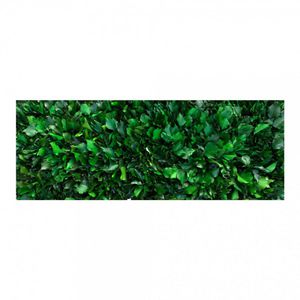 muro vegetal estabilizado