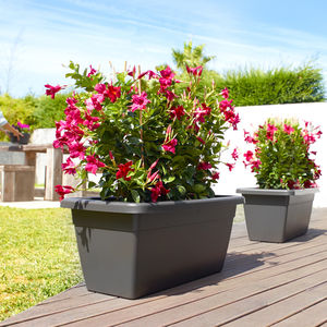 jardinera de polipropileno