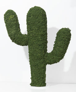 planta ornamental estabilizada