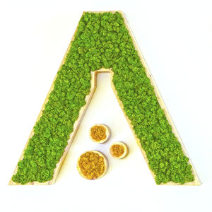 marco vegetal estabilizado