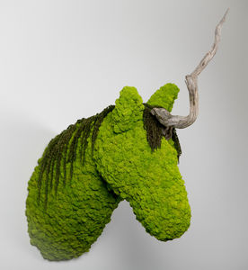 marco vegetal estabilizado
