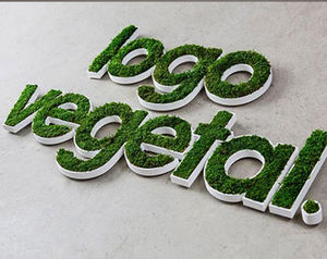 marco vegetal estabilizado