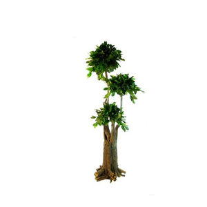 planta ornamental estabilizada