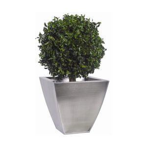 planta ornamental estabilizada