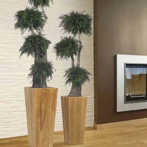 planta ornamental estabilizada