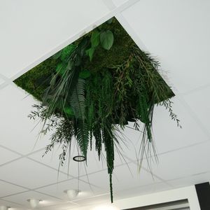 falso techo vegetal