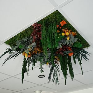 falso techo vegetal