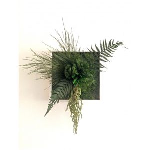 marco vegetal estabilizado