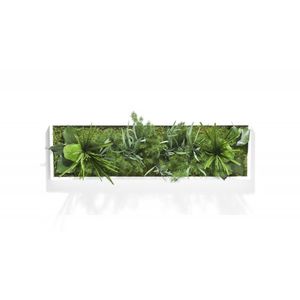 marco vegetal estabilizado