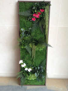 marco vegetal estabilizado