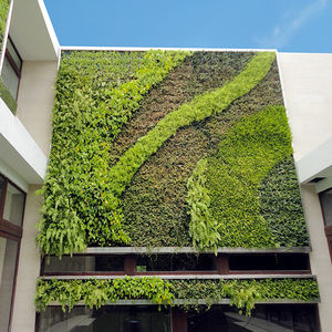 muro vegetal de plantas naturales