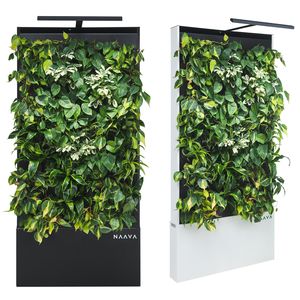 muro vegetal estabilizado