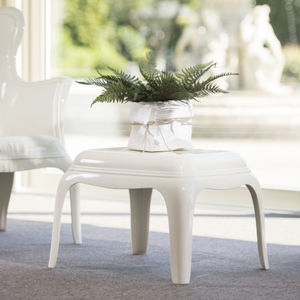 planta ornamental estabilizada
