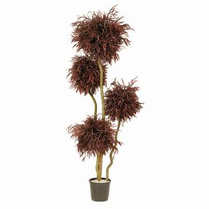 planta ornamental estabilizada