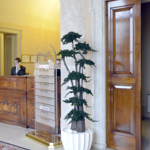 planta ornamental estabilizada