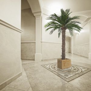 planta ornamental estabilizada