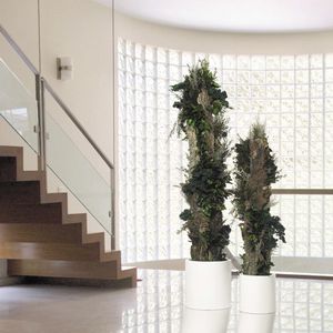 planta ornamental estabilizada