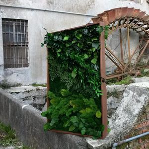 marco vegetal estabilizado