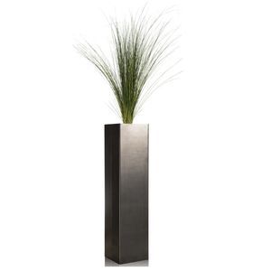 planta ornamental estabilizada