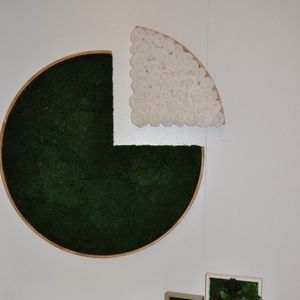 marco vegetal estabilizado