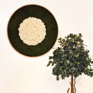 marco vegetal estabilizado