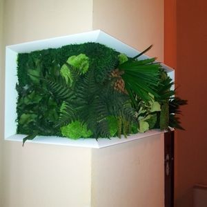 marco vegetal estabilizado