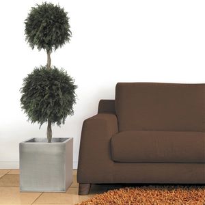 planta ornamental estabilizada