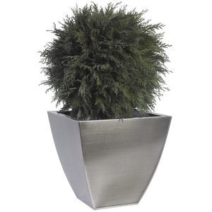 planta ornamental estabilizada