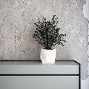 planta ornamental estabilizada