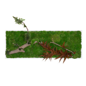 marco vegetal estabilizado