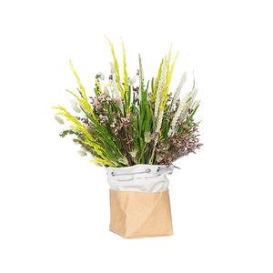 planta ornamental estabilizada