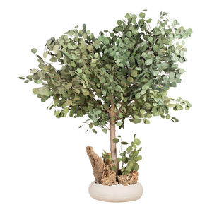 planta ornamental estabilizada