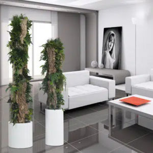 planta ornamental estabilizada