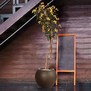 planta ornamental estabilizada