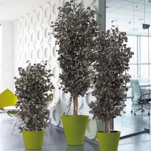 planta ornamental estabilizada