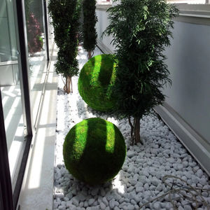 planta ornamental estabilizada