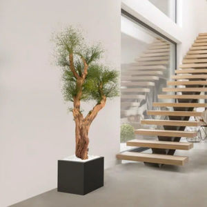 planta ornamental estabilizada