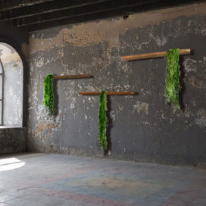 estanterías de pared