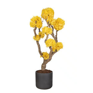 planta ornamental estabilizada