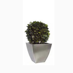 planta ornamental estabilizada