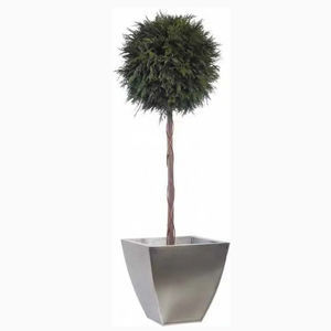 planta ornamental estabilizada