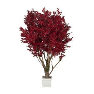 planta ornamental estabilizada