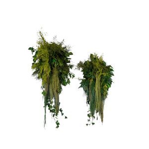 planta ornamental estabilizada