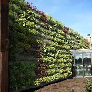 jardín vertical de plantas naturales