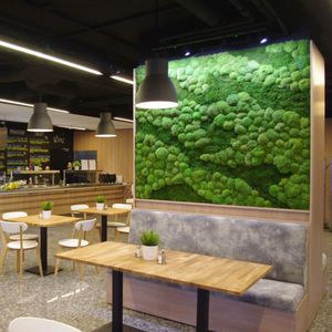 marco vegetal estabilizado