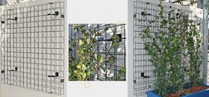 muro vegetal de feuillage