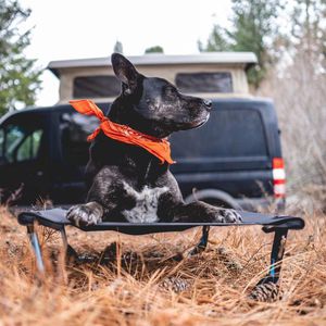 cama para perros de tejido
